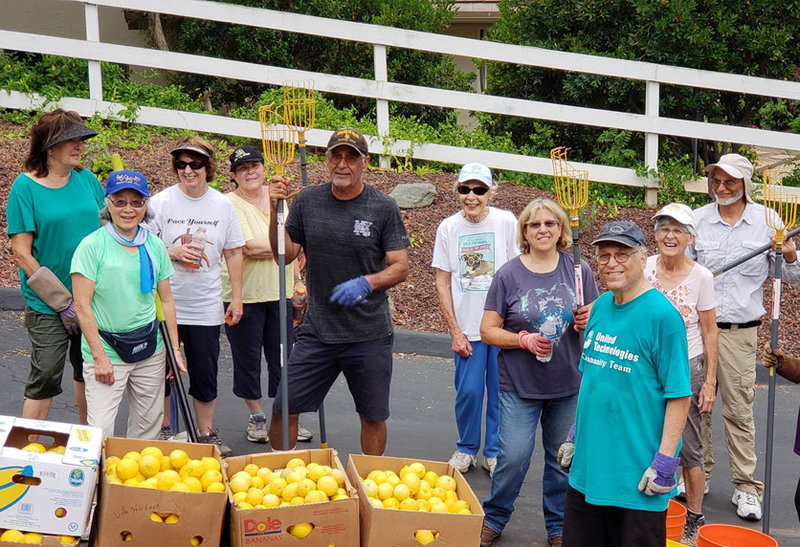 Senior Gleaners gather surplus food in San Diego to help feed the hungry