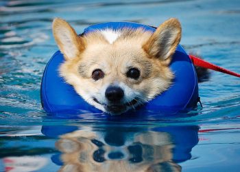 New sign for cafe on Ocean Beach Pier