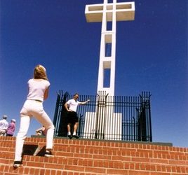 Report cards measure car theft risk