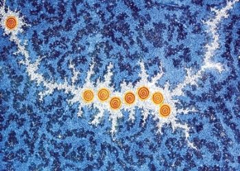 Spikers net strong start to season