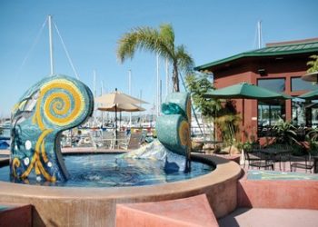 Bishop's gridders roll; Vikes, Torreys fall