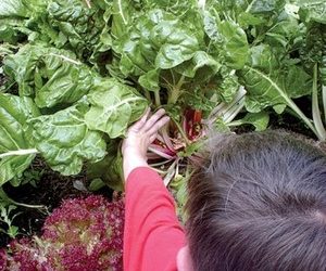 Miramar opponents and supporters hash out Prop A issues