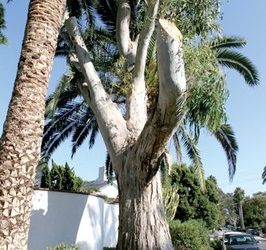 Noise issue raised at safety forum