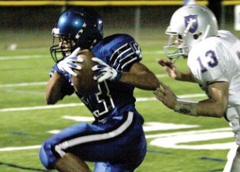 Planners vote on new bylaws members, appoint PDO chair