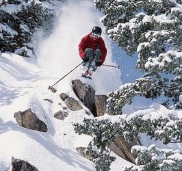 SIO checks into tapping sea's bounty