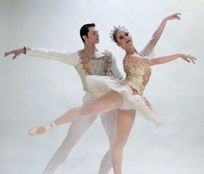 Growing poinsettias, Flores de Noche Buena