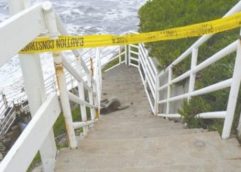 UC High students busted in undercover drug sting