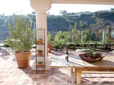 Creating a patio paradise