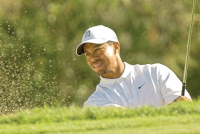 Almost play-time for the pros