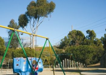 Port seeks new forest of urban trees