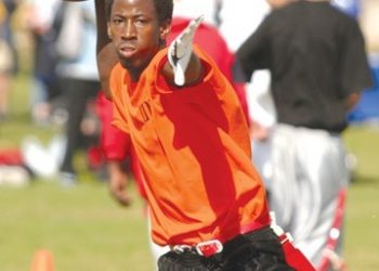 Port seeks new forest of urban trees