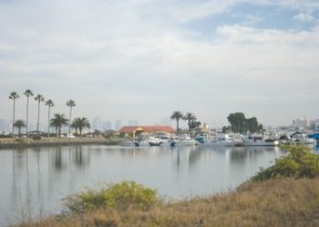 Carnaval comes wheeling into town