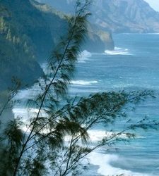 The serious task of living simply