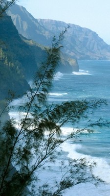 The serious task of living simply