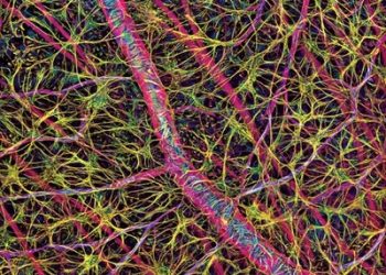 Letters to the editor