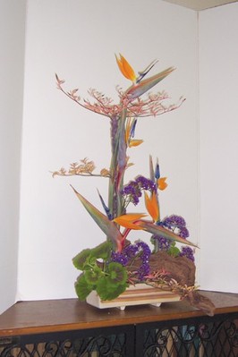 San Diego Floral Association still blooming after 100 years