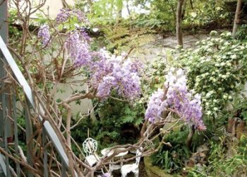 SDPD gives an inside look at crime investigations