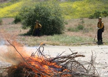 Residents press city for mini-dorm restrictions