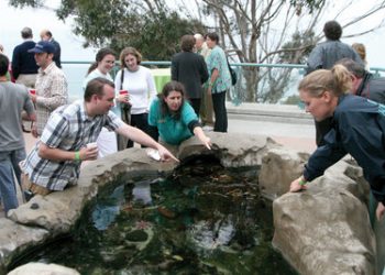 Cost recovery shouldn't be taken to extreme