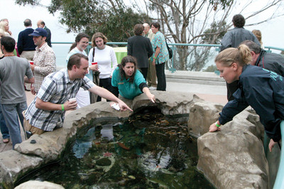 Birch teams music and summer for Green Flash concerts