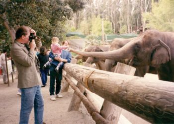 La Jolla sluggers make a Major League mark