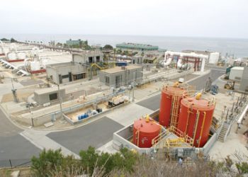 From Bird Rock to home of tropical birds