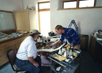 Little Foot finds new foe when Tarbosaurus comes to town