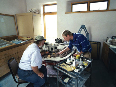 Little Foot finds new foe when Tarbosaurus comes to town