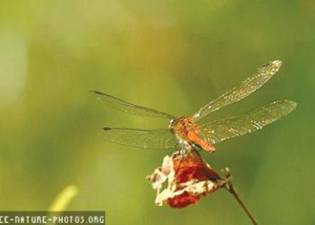 Navy discovers hidden finger