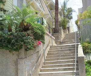 Artist captures thrill of the race