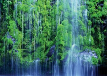 LJ/Monaco meet on the catwalk for fashion fete