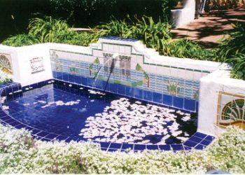 Managed competition idea moves slowly