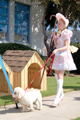 OB carnival to put man's best friend in the spotlight Sunday