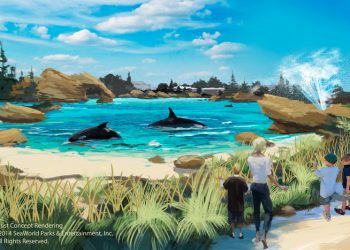 City struggles to uproot illegal pot shops in PB