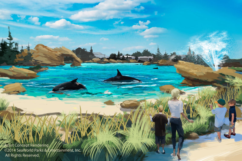 ROOM TO ROAM: SeaWorld plans to double size of orca environment