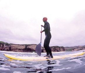 Letter to the editor