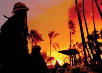 Letter to the editor