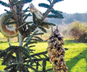 Astronaut delivers lofty message to students