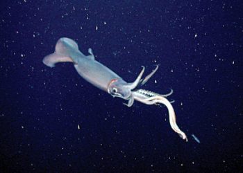 Astronaut delivers lofty message to students