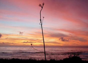 Military rallies to aid homeless veterans