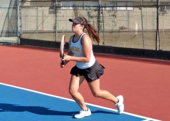 Dr. Seuss Enterprises holds sweepstakes to commemorate launch of 'Dr. Seuss's Horse Museum'