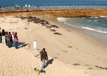 University City updates: Good deeds and bridge updates