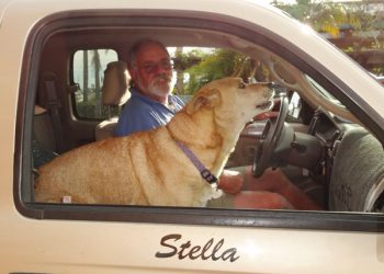 Point Loma couple earn accolades for customizable, sustainable bottle stopper