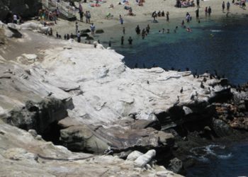 Post office declared historical, but not off the chopping block yet