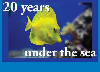 Civic report:?La Jolla Community Planning Assoc., Sept. 6