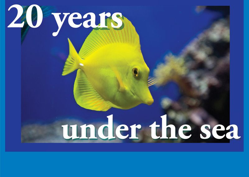 Birch Aquarium celebrates 20 years bringing ocean education to San Diego