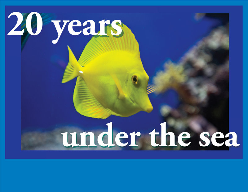 Birch Aquarium celebrates 20 years bringing ocean education to San Diego