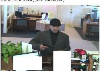 County urges pet microchips for new year