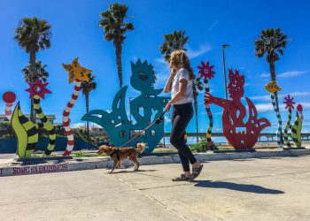 Census count begins in San Diego County