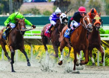 Residents chime in on wish list for OB’s future